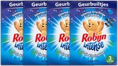 Robijn Geurbuiltjes - Intense Morgenfris - 4 x 3 Stuks