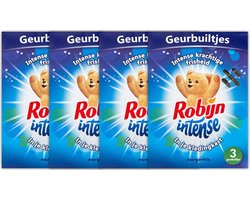 Robijn Geurbuiltjes - Intense Morgenfris - 4 x 3 Stuks