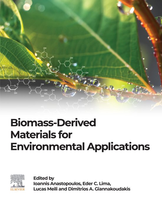 Biomass-Derived Materials for Environmental Applications - cover