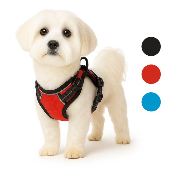 Flamingo Harnas Balou - Rood - Verstelbaar Harnas (Maat S: A:31-55 cm, B:40-55 cm, 20 mm) - Ideaal voor Teckel, Beagle, Shih Tzu, Cocker Spaniel en Border Terrier