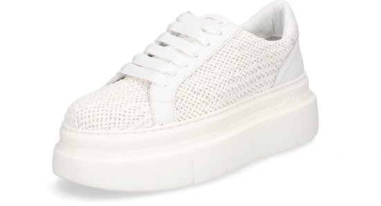 Gio+ Sneaker Wit 40