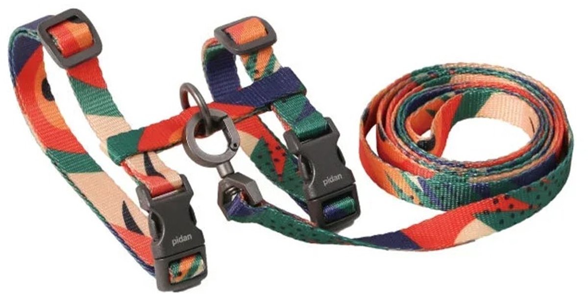 Pidan – Kattentuigje met Riem – Set – Kat Uitlaten – Kleurrijk – One Size