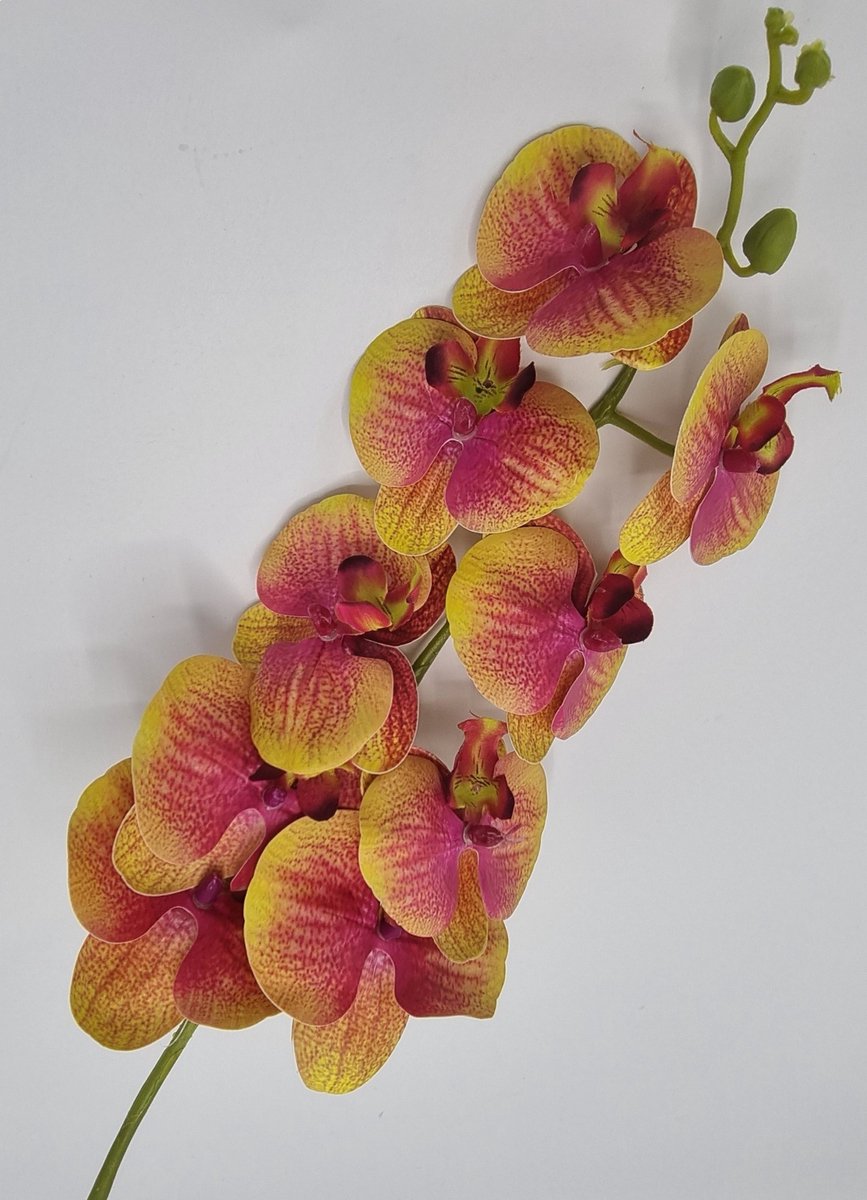Orchidee - GK560/18 - 102 cm - Donder roze/Geel/Bruin - 9 bloemen - 1 tak - Grafdecoratie - Zijdenbloemen - Kunstbloemen