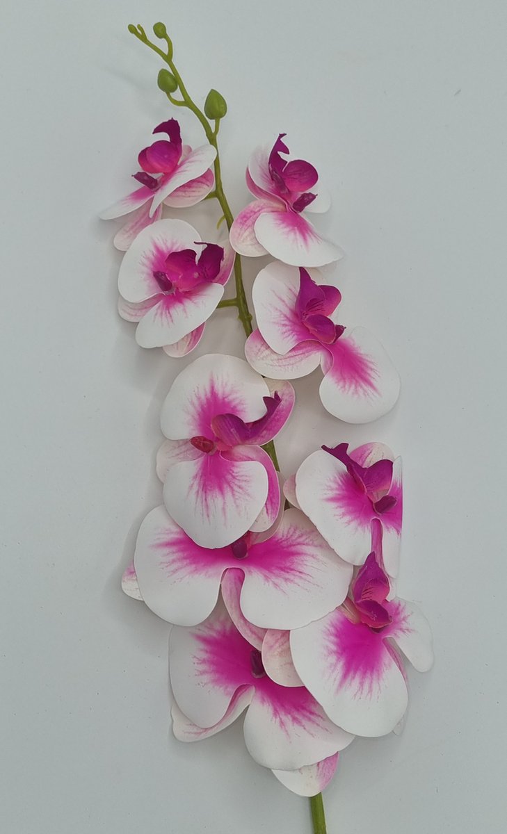 Orchidee - GK560/02 - 102 cm - Wit/Roze - 9 bloemen - 1 tak - Grafdecoratie - Zijdenbloemen - Kunstbloemen