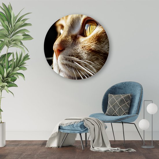 Gedetailleerde close-up kattenoog - Kat schilderij rond - Wandschaal dieren - Hyperrealisme - Forex - Interieurdecoratie kamer - Muurcirkel forex 90x90 cm