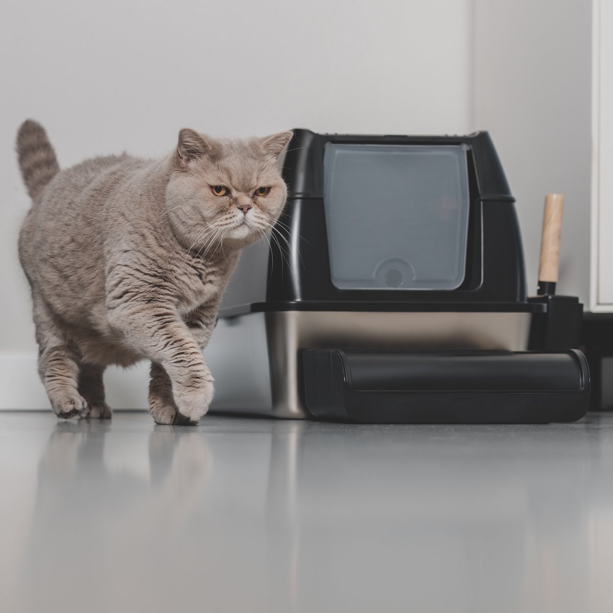 Nuvona Premium Kattenbak RVS - XXL - Incl. Geurneutralisator - Incl. Kattenbakschep &… thumbnail 4