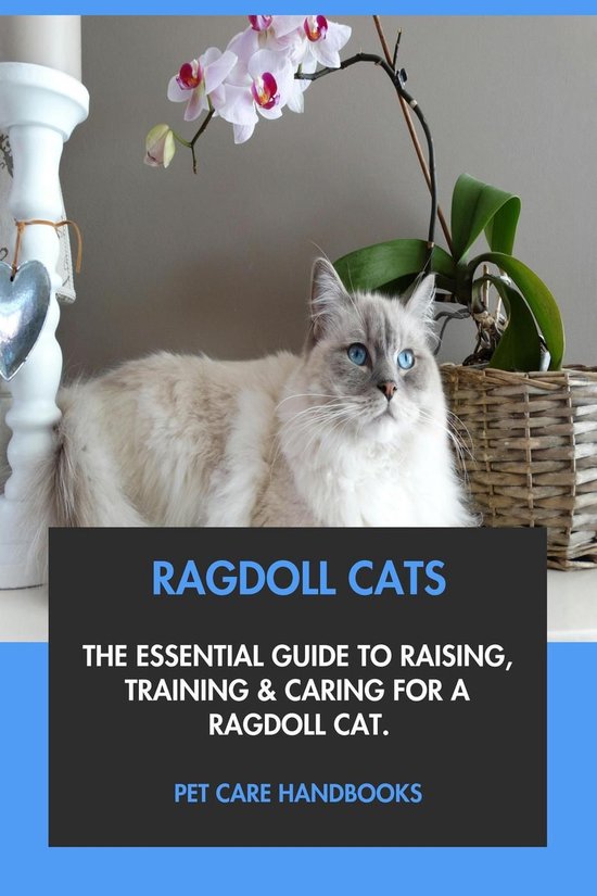 Ragdoll Cats: The Essential Guide to Raising, Training & Caring for A ...