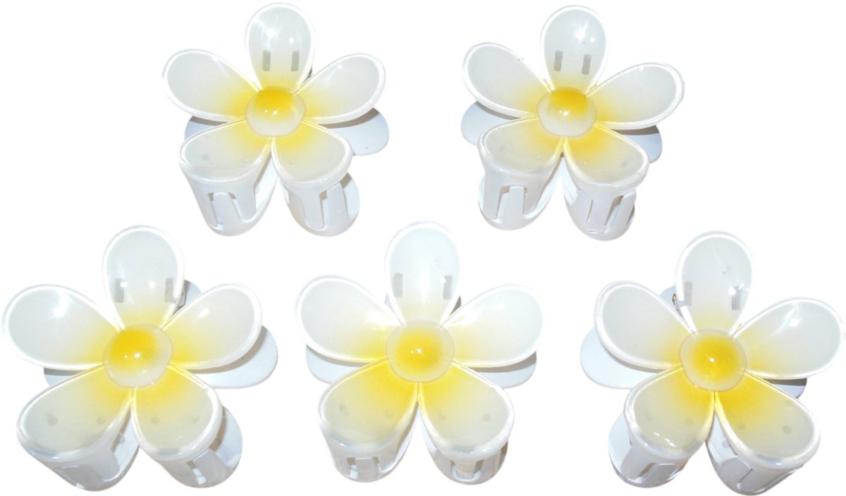 5 Haarklemmen bloem geel-wit