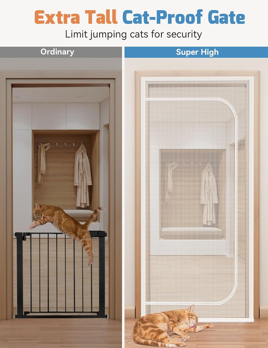 Versterkte 90 X 210 Cm Katbestendige Hordeur Kattenhordeur Robuuste Huisdierbestendige Hordeur Met Ritssluiting Voorkomt Dat Honden En Katten Eruit Klimmen (Color : B, Size : 90x220cm