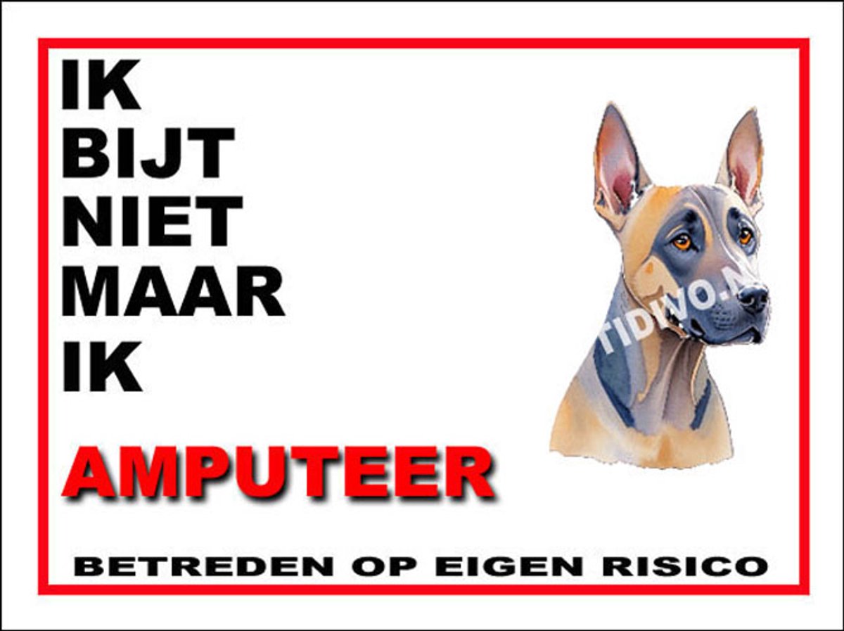 Thai Ridgeback Dog 5