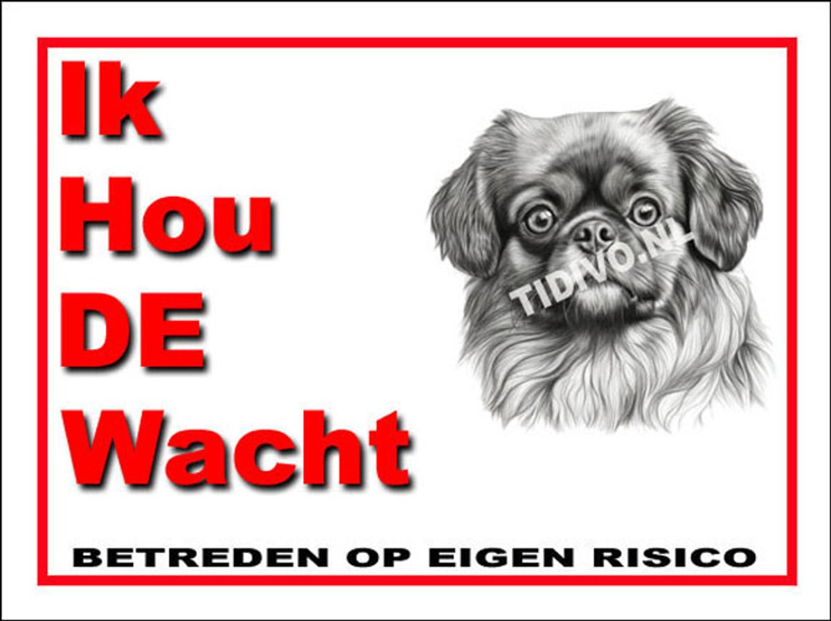 Tibetaanse Spaniel 7