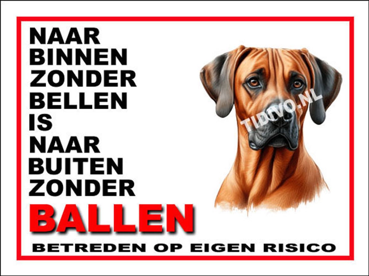 Weimaraner Rhodesian Ridgeback 11