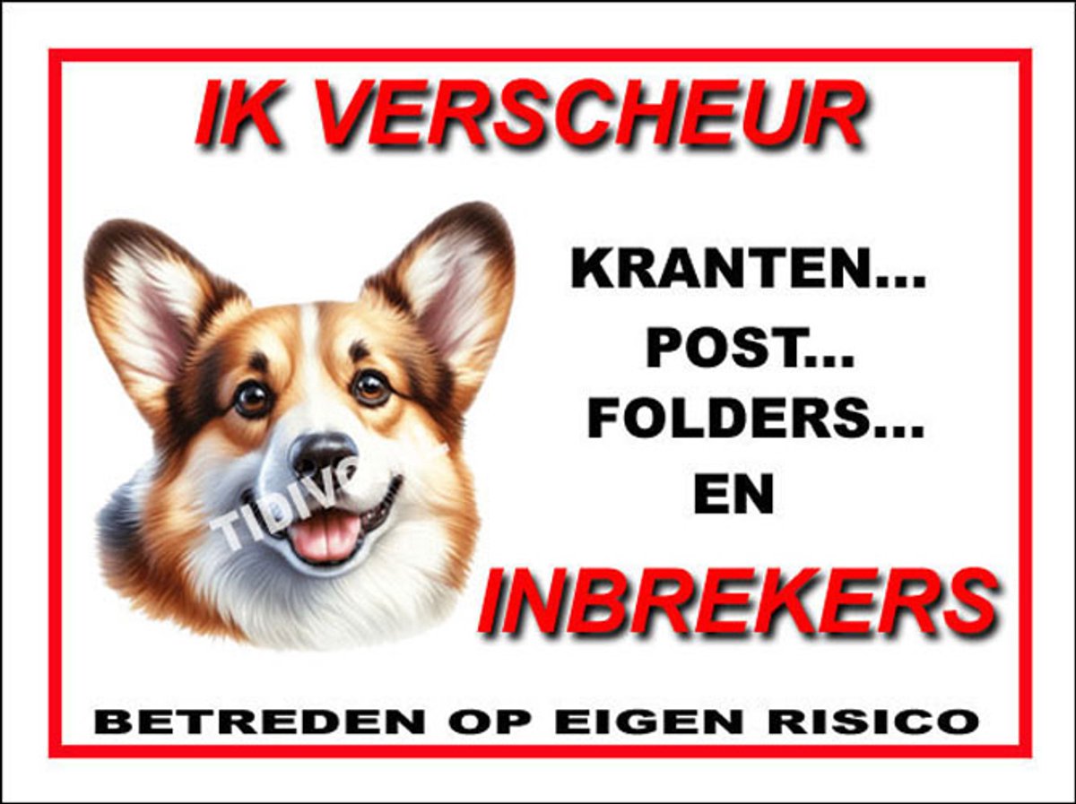 Welsh Corgi 8