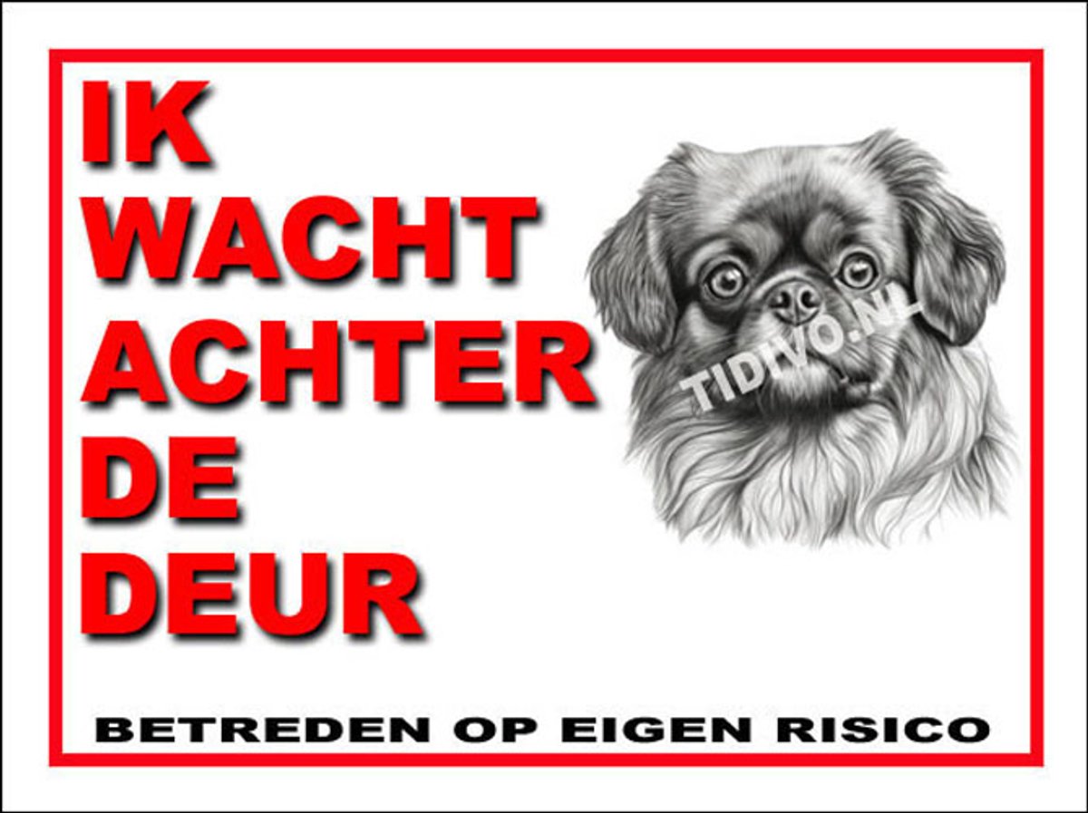 Tibetaanse Spaniel 10