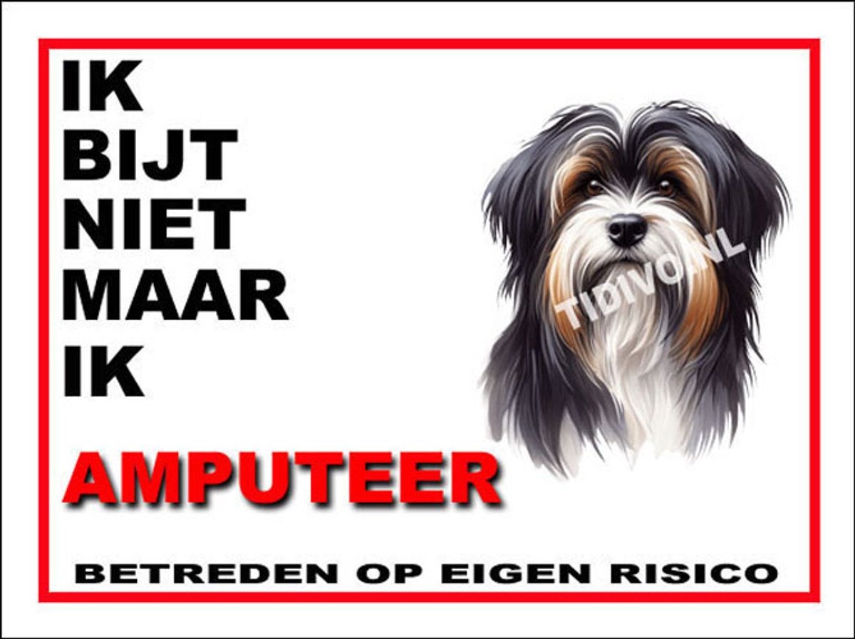 Tibetaanse Terrier 5