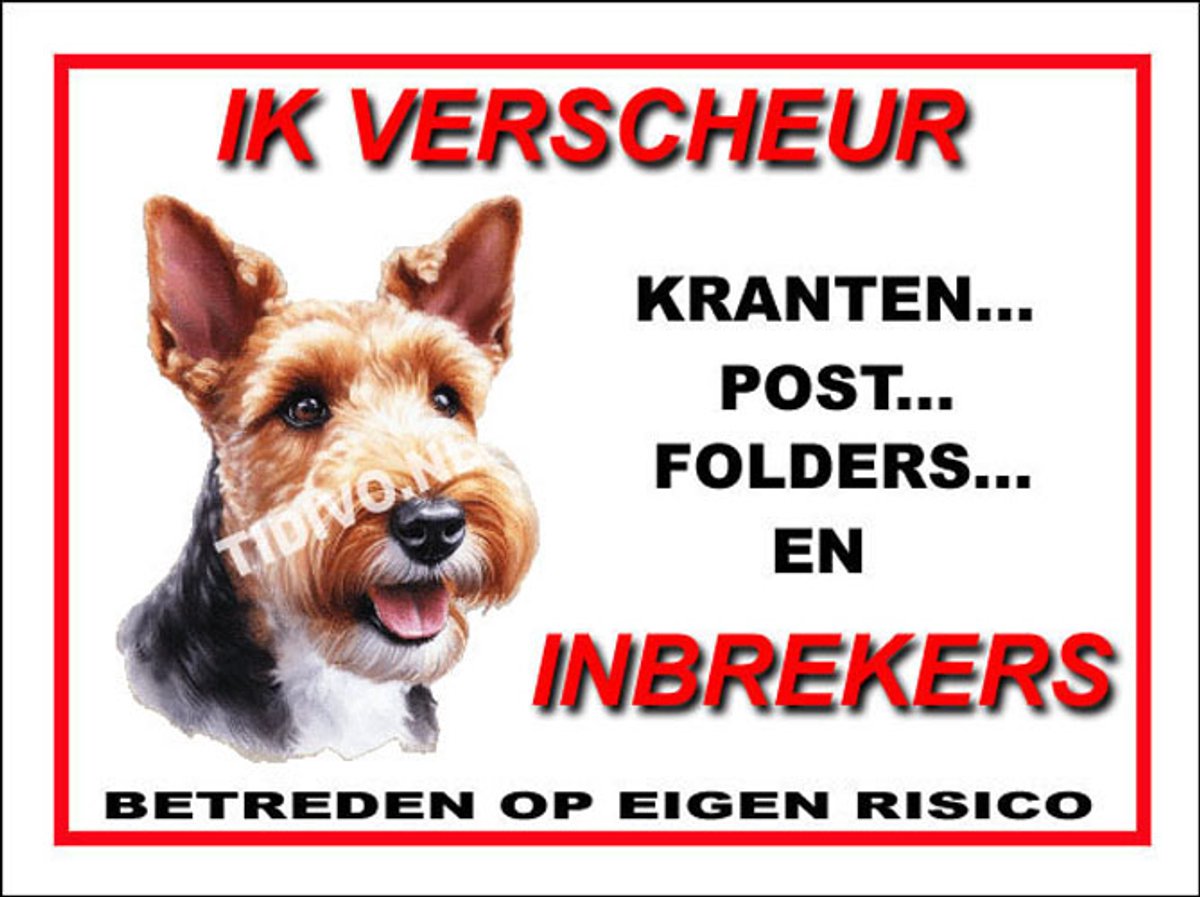 Welsh Terrier 8