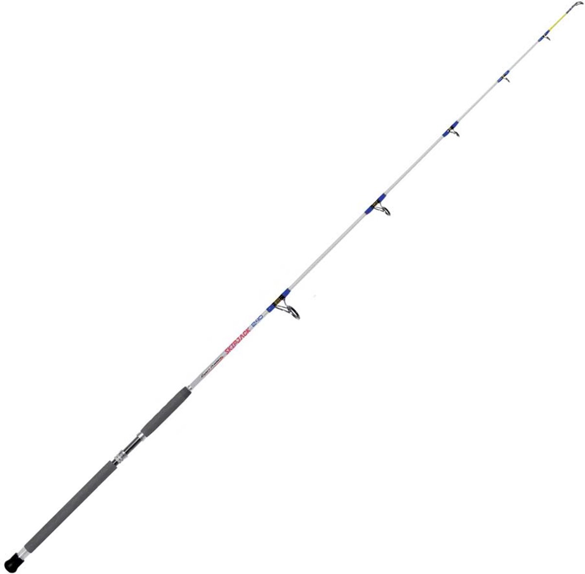Expert Predator Skipjack Bodemvissen Hengel Zilver 2.40 m / 100-300 g