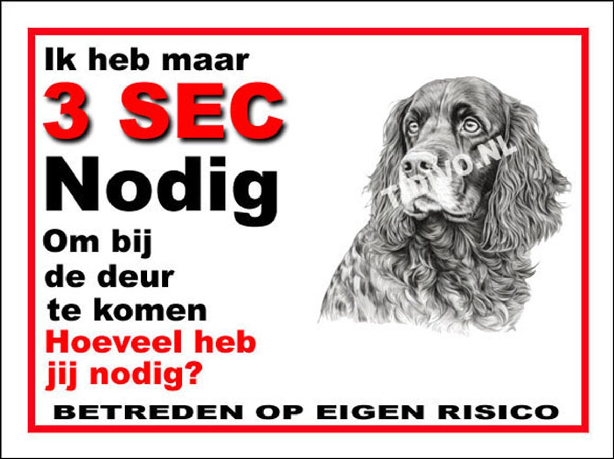 Field Spaniel 6