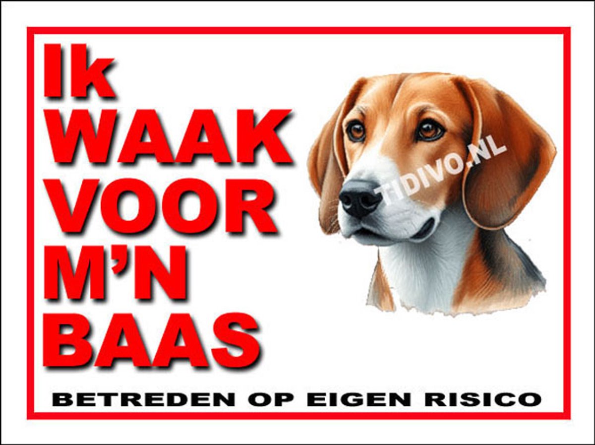 Engelse Foxhound 9