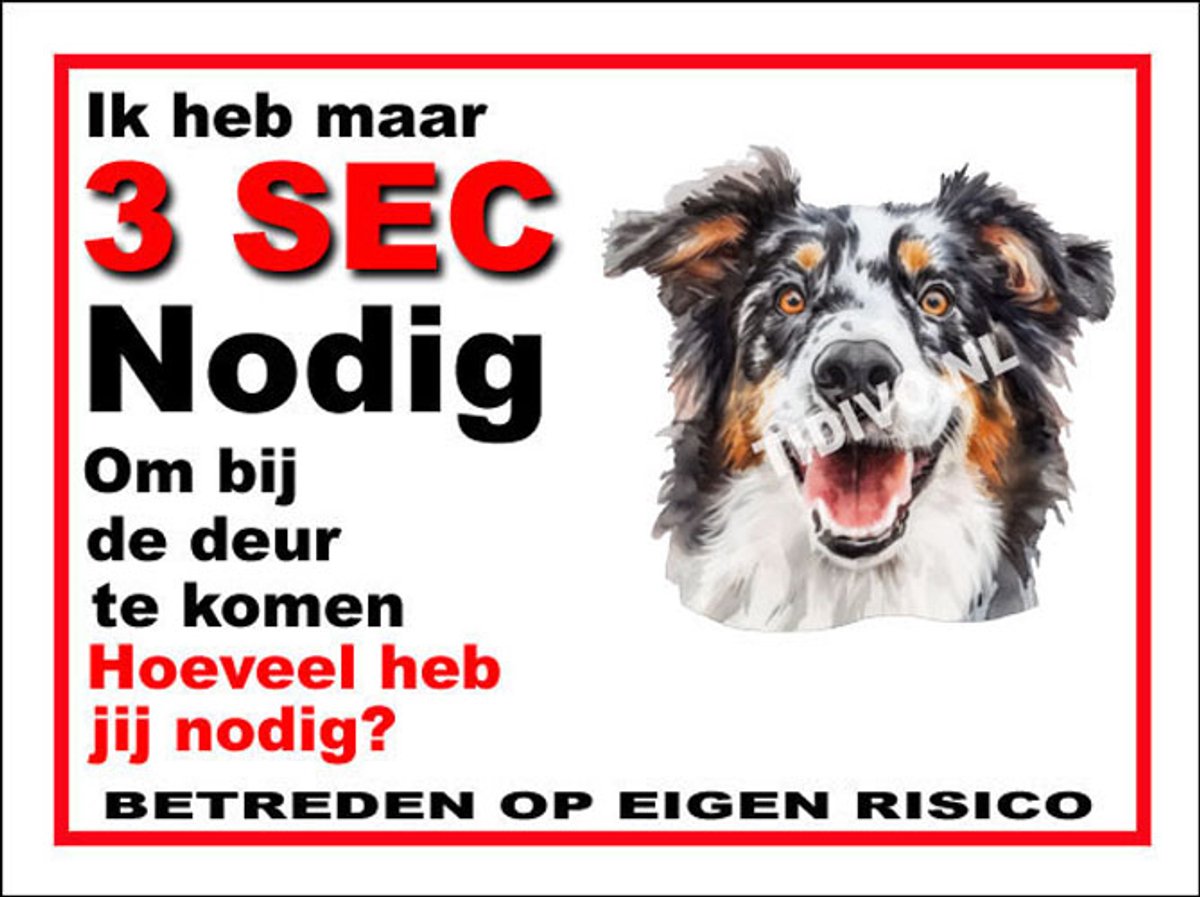 Engelse Shepherd 6