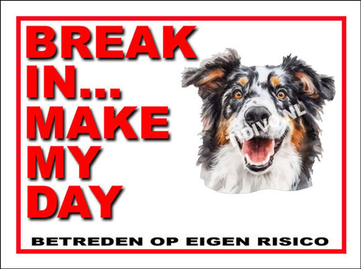 Engelse Shepherd 1