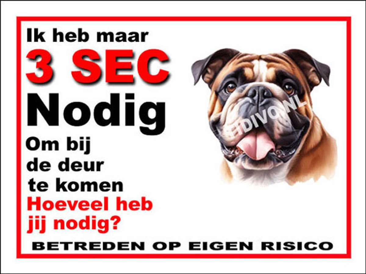 Engelse Bulldog 6