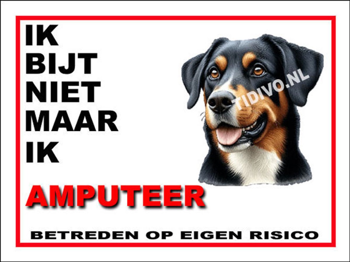 Entlebucher Sennenhond 5