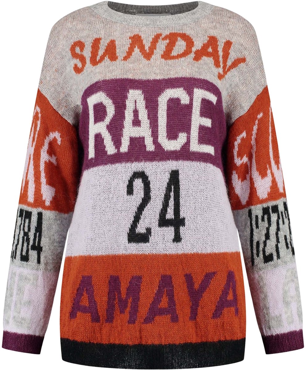 Amaya Amsterdam Amaya Race Sweater Truien & vesten Dames - Sweater - Hoodie - Vest- Grijs - Maat S
