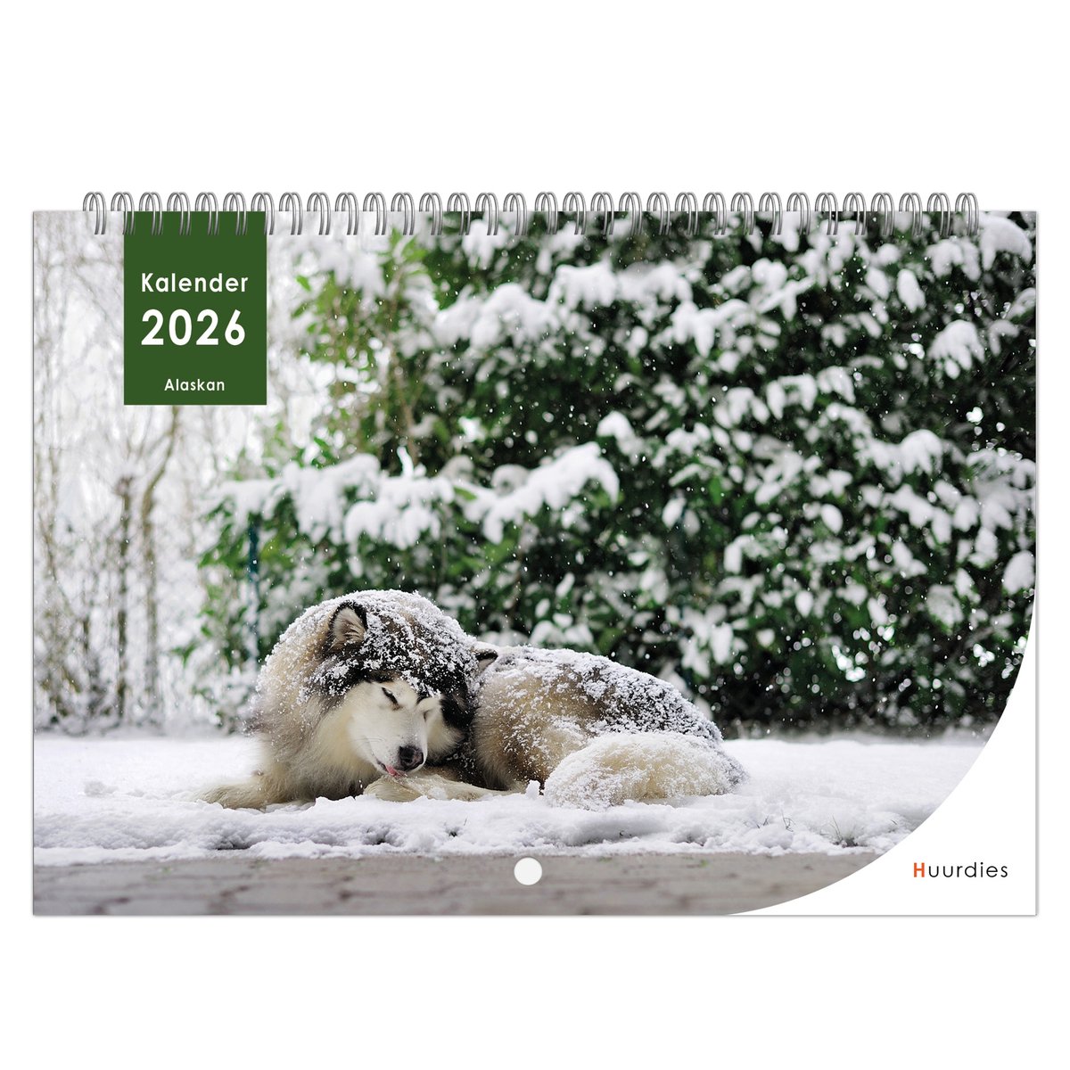 Huurdies - 2026 Kalender - Alaskan Malamute - A4