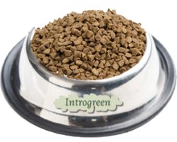 Premium Kat Indoor: Hoogwaardige Voeding voor Binnenhuis Levende Katten van Alle Rassen 10 kg