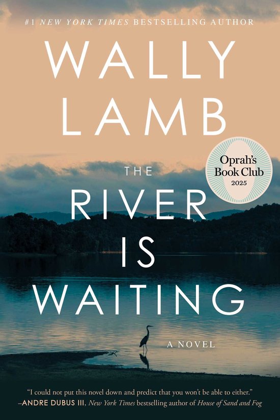 The River Is Waiting (Oprah's Book Club) - cover