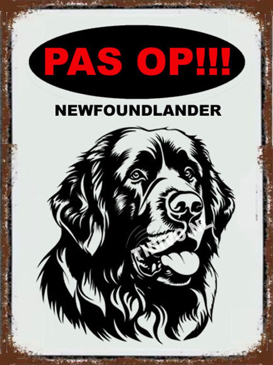 Newfoundlander 17
