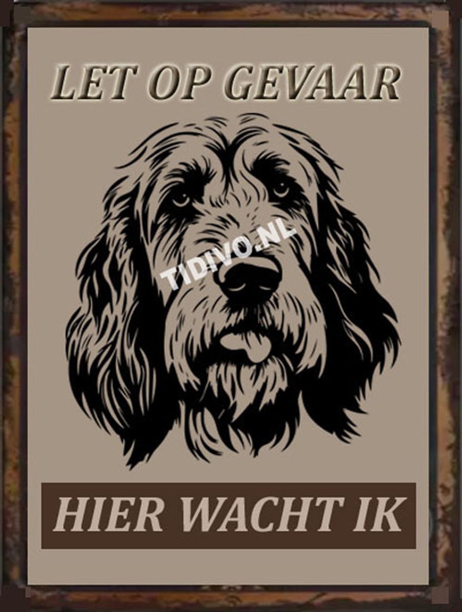 Otterhound 18