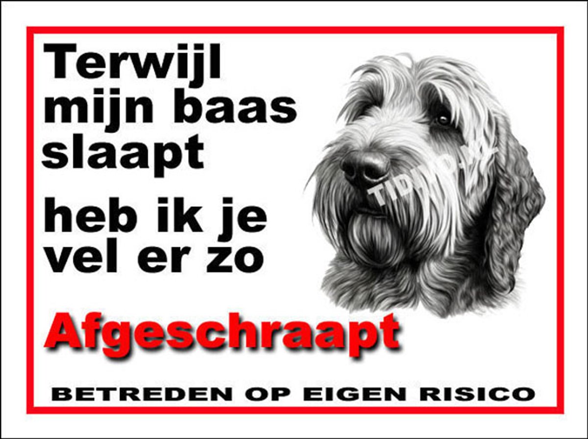 Otterhound 15