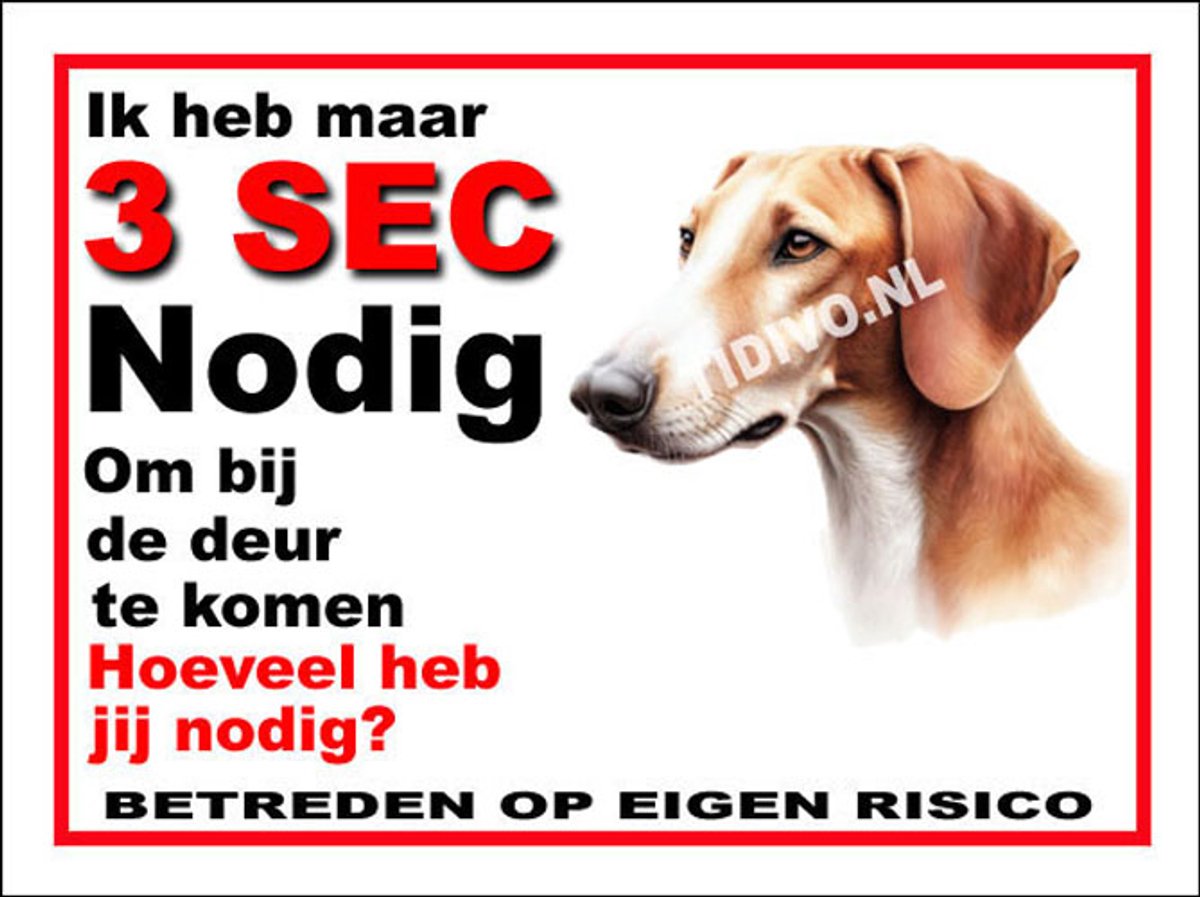 Podengo 6