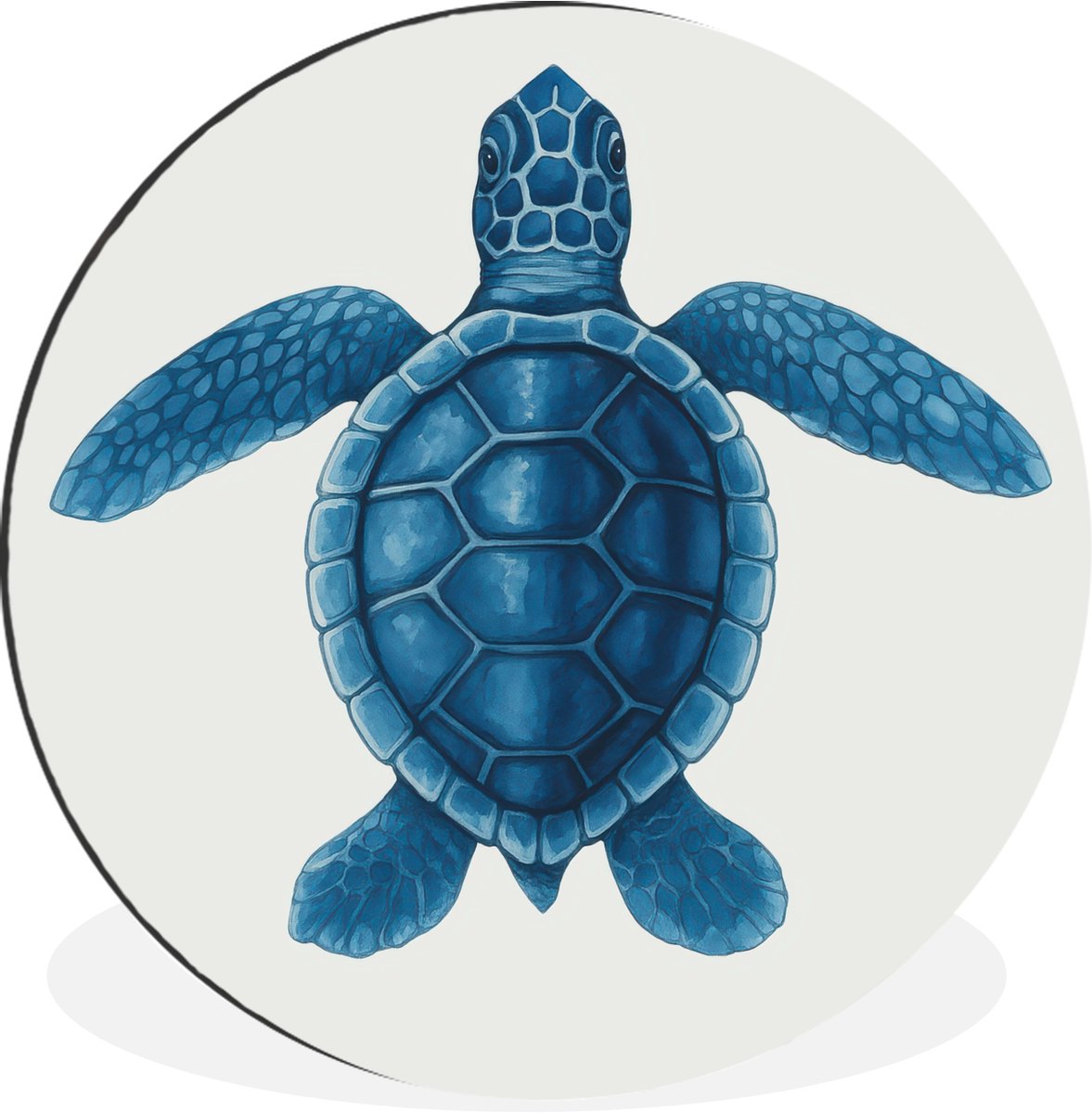 WallCircle Wandcirkel - Muurcirkel - Schildpad - Blauw - Schild - Aluminium - Dibond - 60x60 cm - Binnen en Buiten