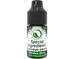 Munt (Pepermunt) Smaak Druppels - 30 ml - Smaakdruppels - Flavour Drops - Moderne Gastronomie - Moleculair Koken - Hersluitbare Pot - Recycled Plastic