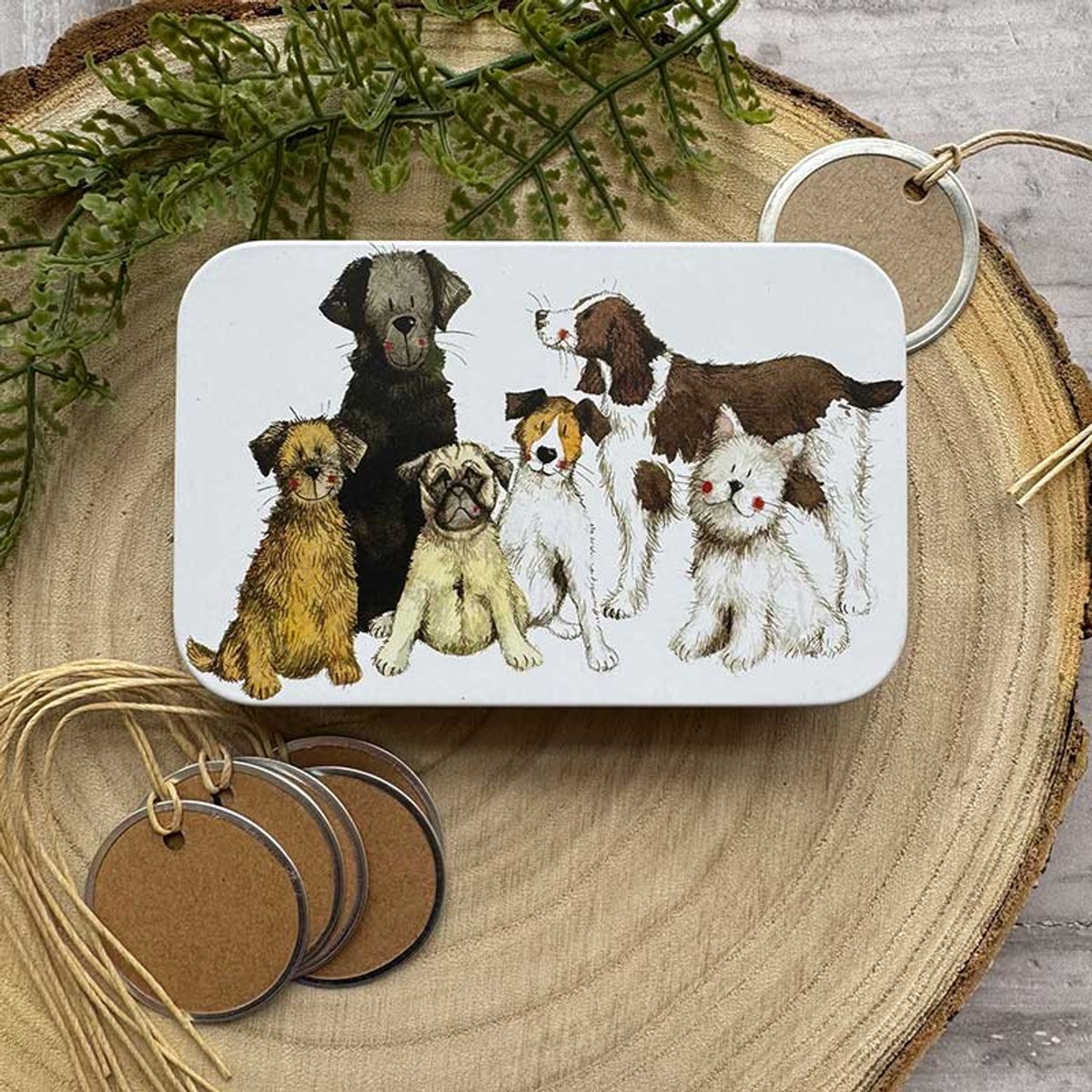 Alex Clark Rectangle Tin Delightful Dogs ~ Langwerpig opbergblikje honden