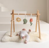 Bol.com Babiem® Babygym George – Houten Babygym met 3 Speeltjes – Baby Speelgoed 0 jaar - Kraamcadeau - Giftbox aanbieding