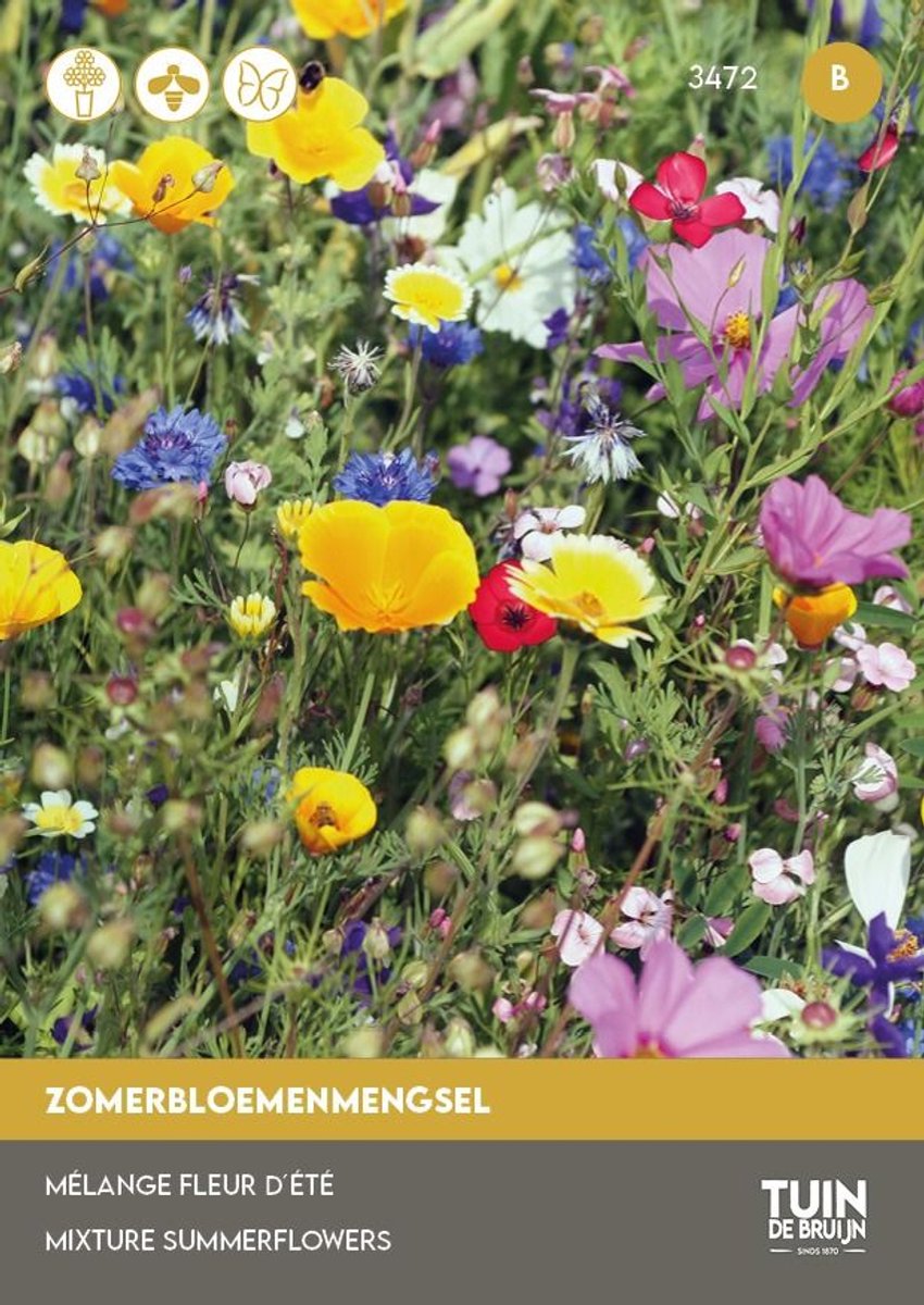 Zomerbloemen Mengsel XL Zaden – Kleurrijke Bloemenmix – Snij- & Droogbloemen – Bijen & Vlinders – 5g – Tuin de Bruijn