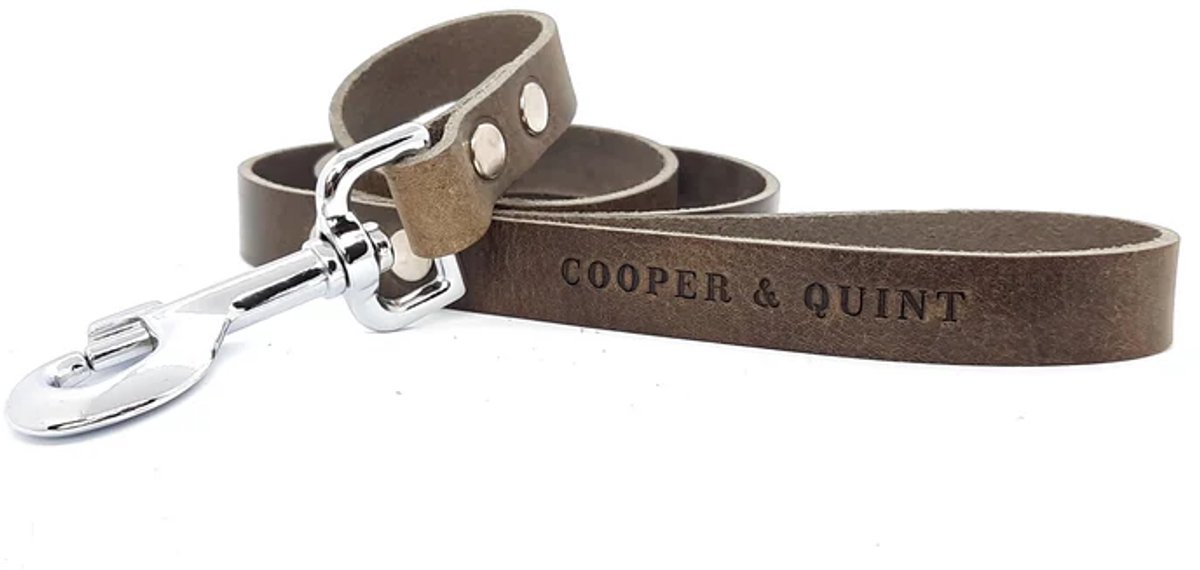 Cooper & Quint No Fuss Hondenriem Leer - Stone - Breed- 140cm - Oud Messing