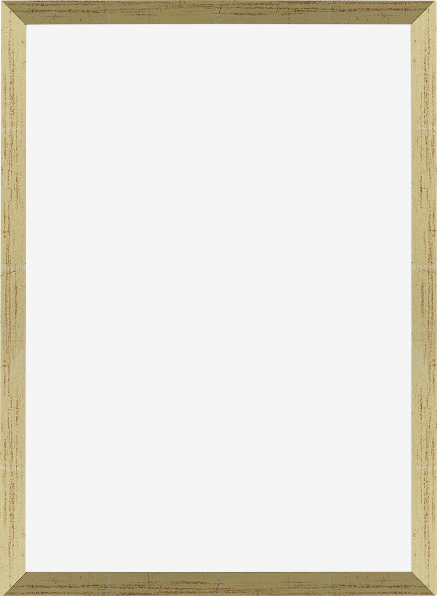 Dutch Frame Factory Fotolijst 30x42 cm - MDF - Goud Glans - Marseille