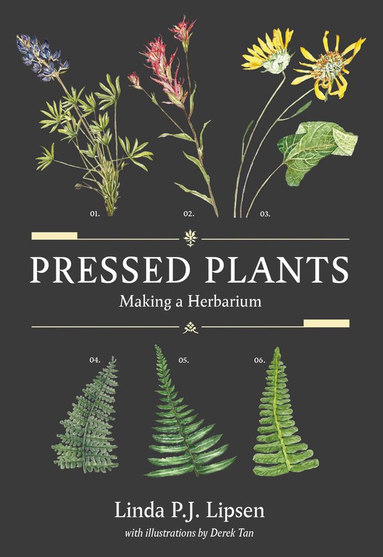 Pressed Plants