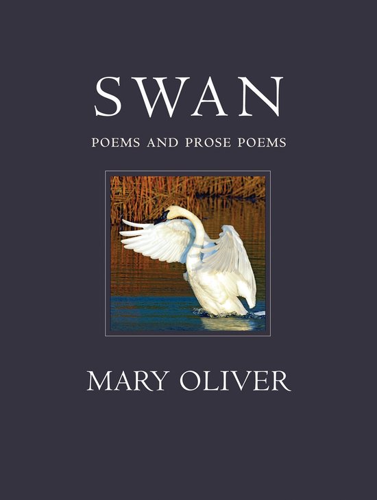 The Swan - cover