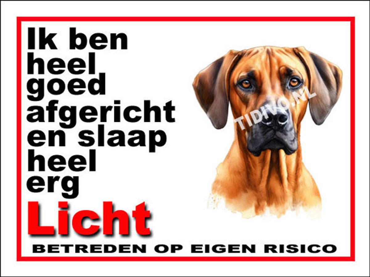 Rhodesian Ridgeback 4