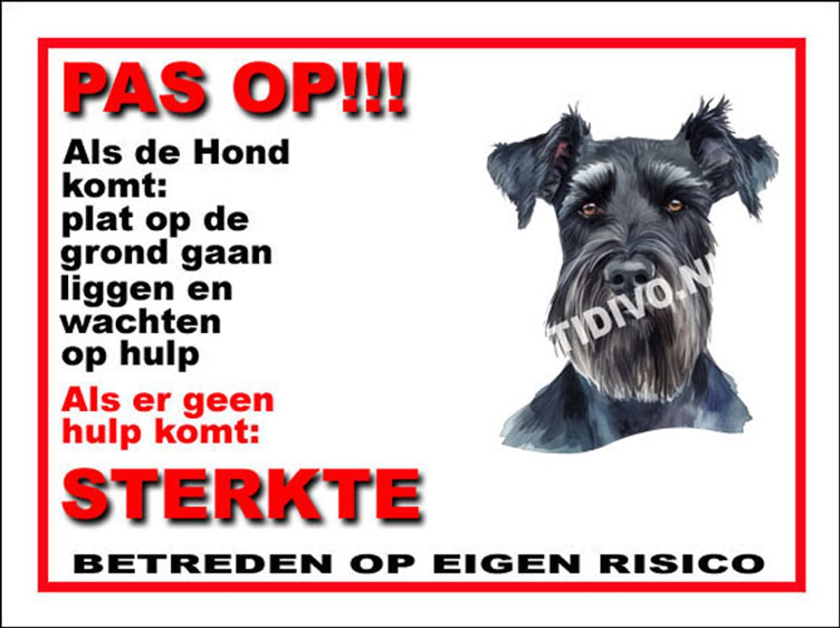Schnauzer Giant 12