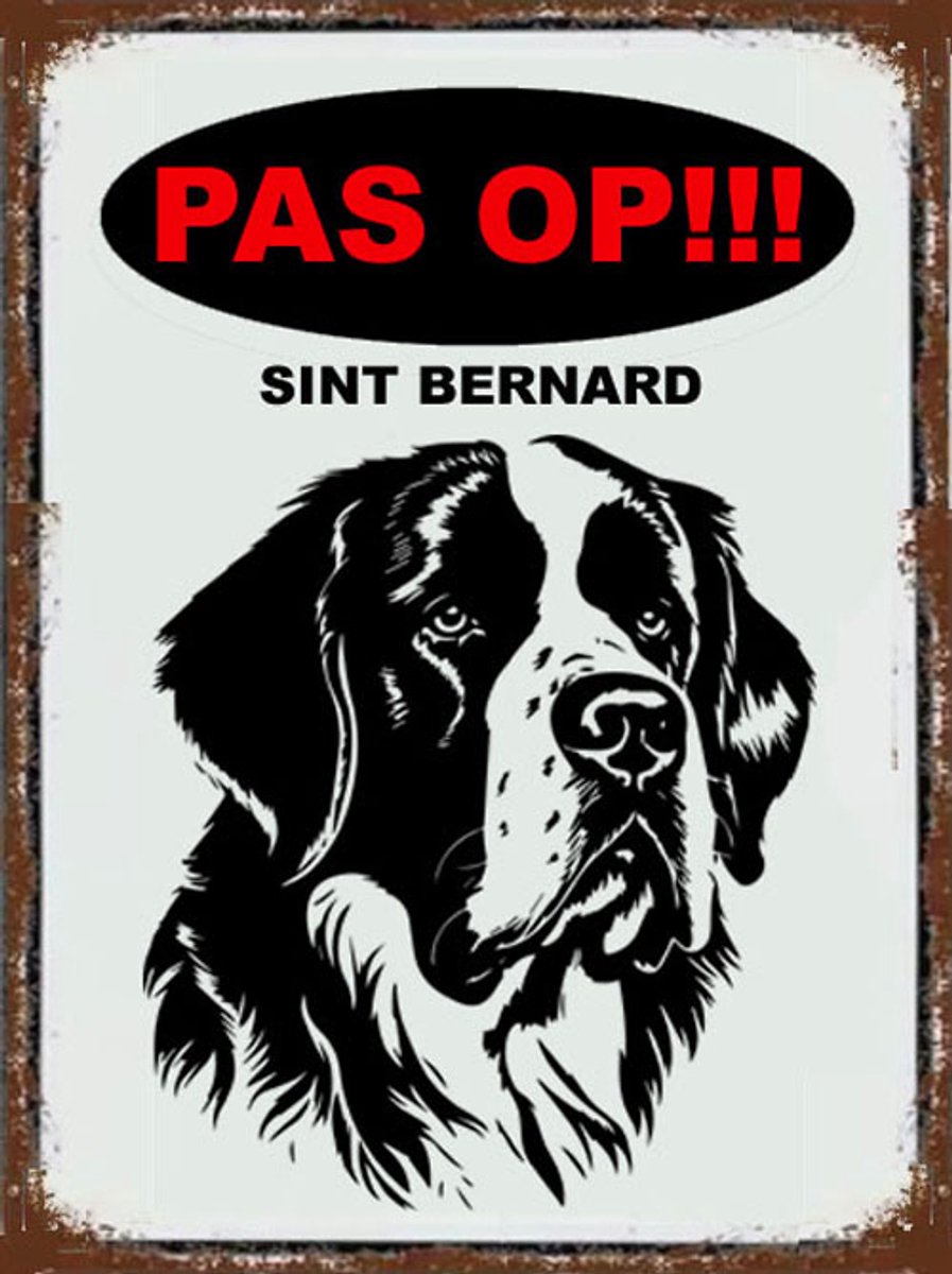 Sint Bernard 17