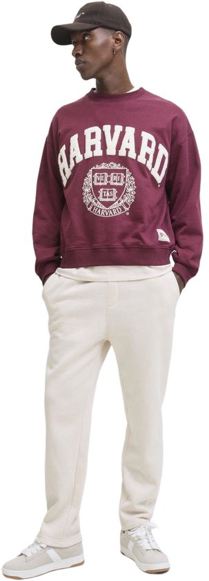 Man in crème joggingbroek, bordeaux hoodie met 'HARVARD' print en sneakers.