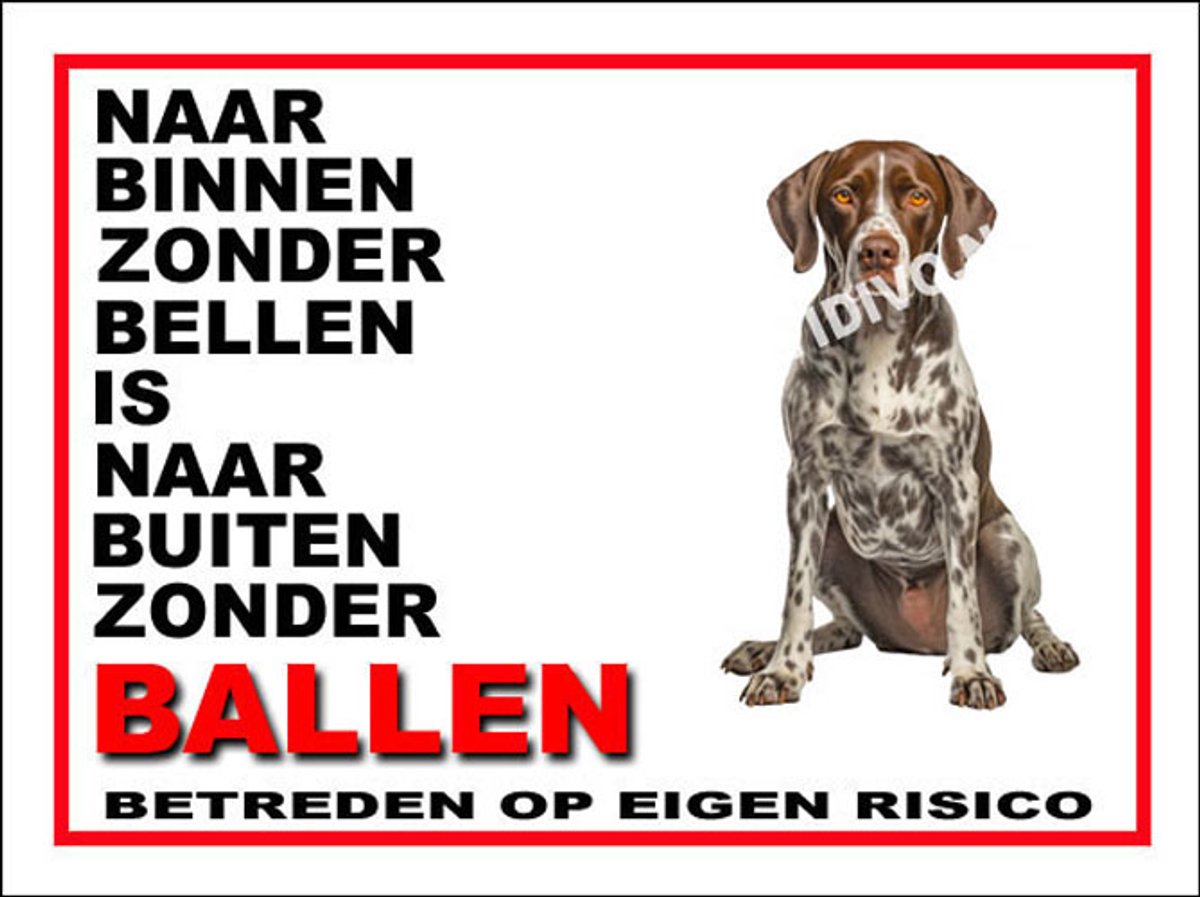 Pointer 11