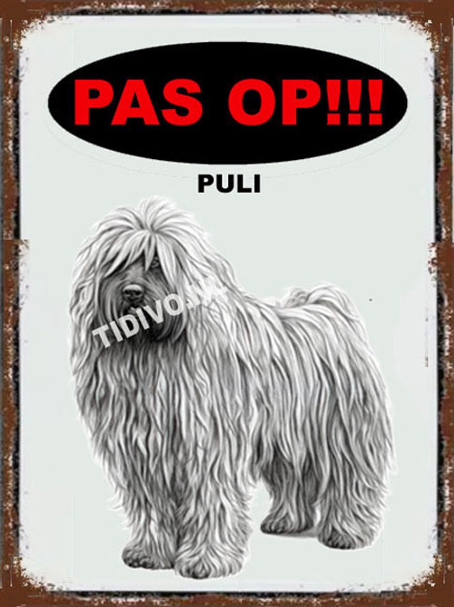 Puli 17
